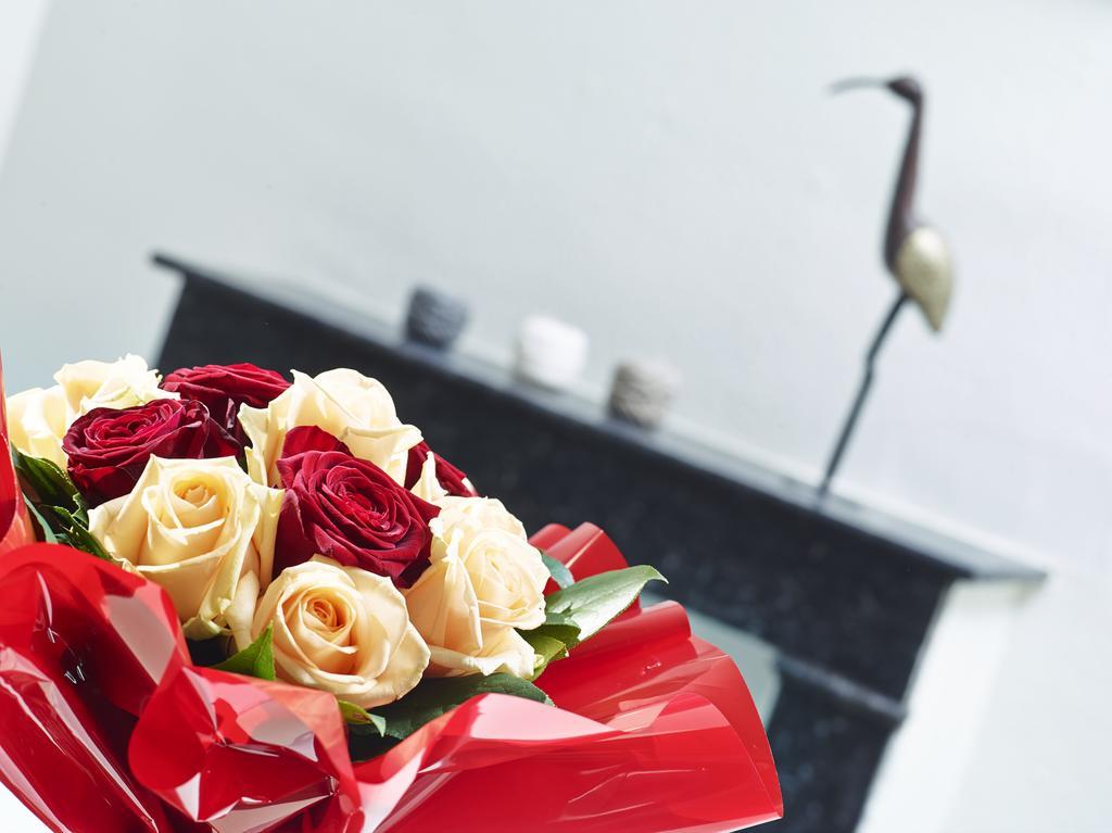 Appartements Rue Lemoine Xxl Angers Phòng bức ảnh